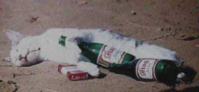 chug!